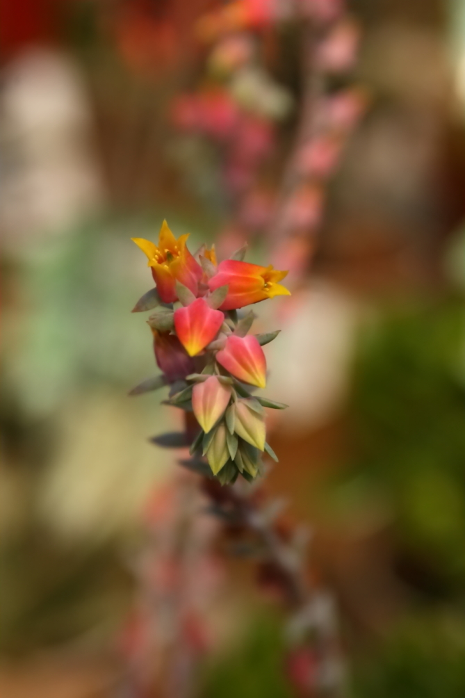 2011 08 05 IMG 35599